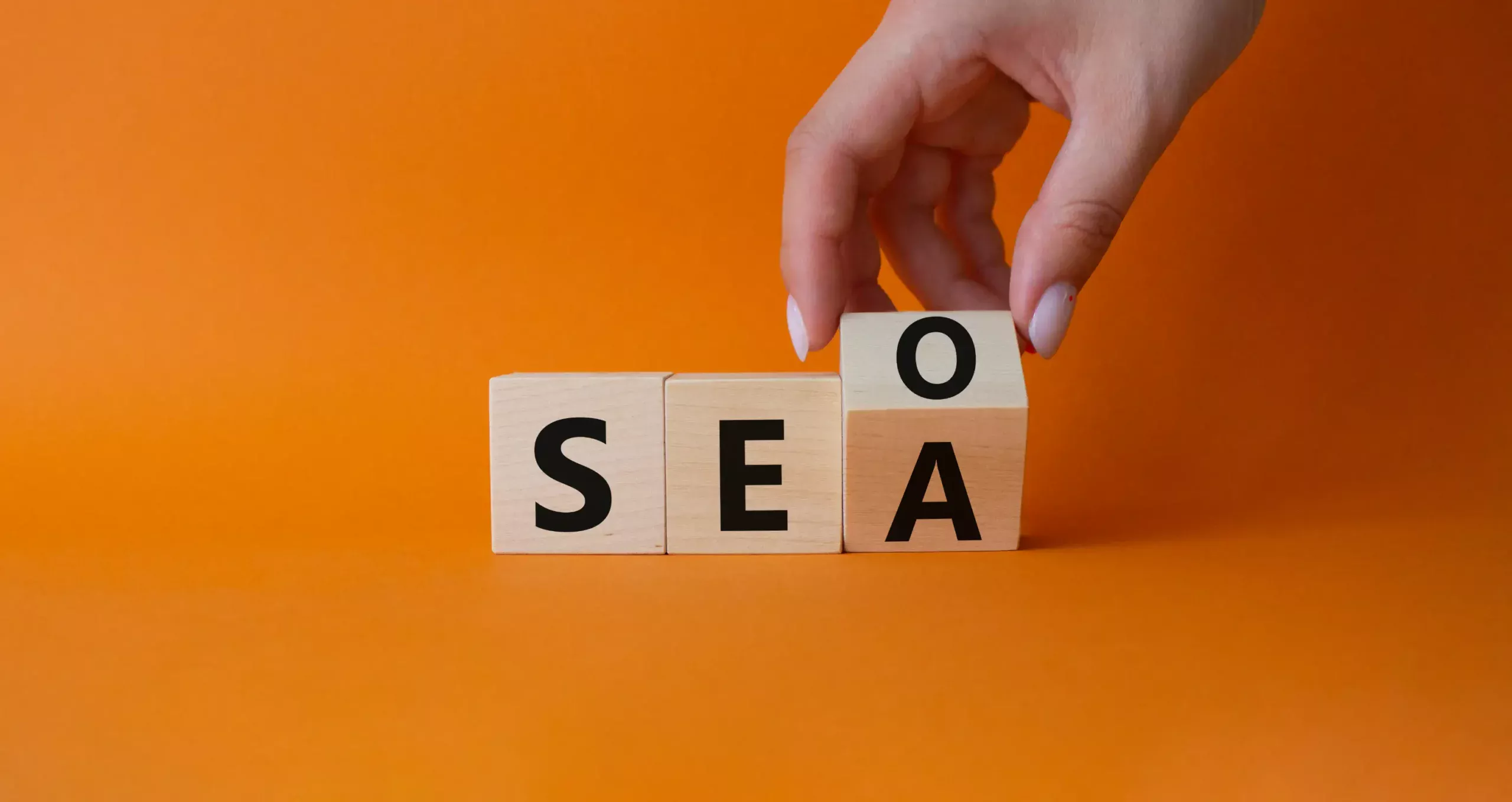 seo vs sea wat kies jij?